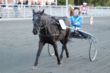 Astrid og Blackie vinder ponyløbet d. 21.09.10, Stort tillykke.